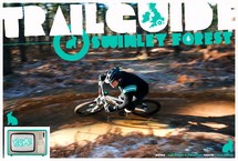 Trail Guide - Swinley Forest